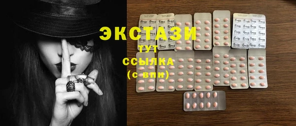 стаф Вяземский