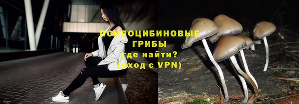 стаф Вяземский