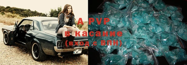 стаф Вяземский