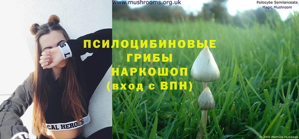 стаф Вяземский