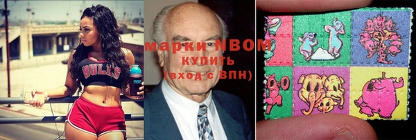 стаф Вяземский