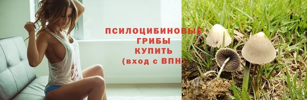 мдпв Волосово